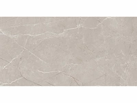 Fluxo gepolijst 60x120 cm tegel 129 m² - afbeelding 2 van  2