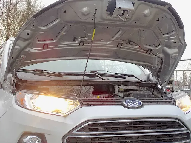 Ford ecosport 1.0 - afbeelding 40 van  52