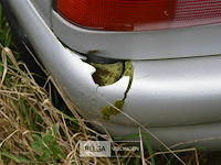 Ford escort - afbeelding 13 van  13