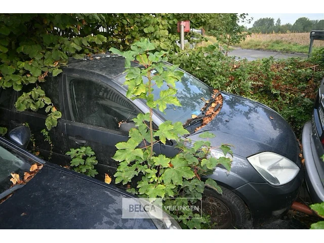 Ford fiesta - afbeelding 1 van  3