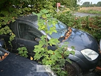Ford fiesta - afbeelding 1 van  3