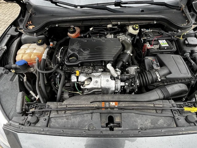 Ford focus, 2018 - afbeelding 2 van  40