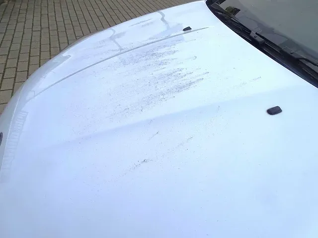 Ford focus - afbeelding 2 van  33