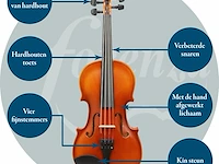 Forenza uno -serie 4/4 volledige viooluitrusting - afbeelding 3 van  4