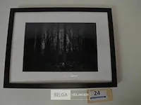 Forest katia van buyten - afbeelding 2 van  5