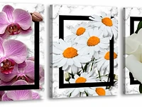 Foto canvas 3 delig bloemen - afbeelding 1 van  3