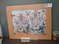 Fotokader met tijgertjes - afbeelding 1 van  3