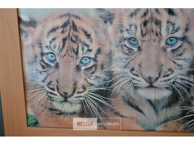 Fotokader met tijgertjes - afbeelding 2 van  3
