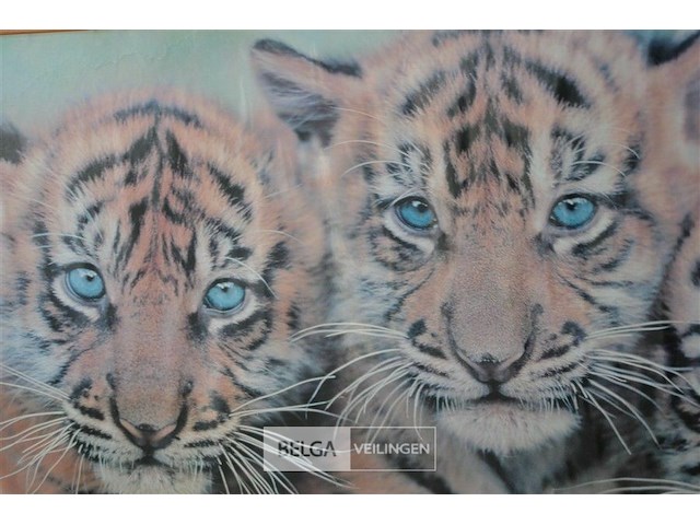 Fotokader met tijgertjes - afbeelding 3 van  3