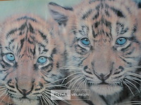 Fotokader met tijgertjes - afbeelding 3 van  3