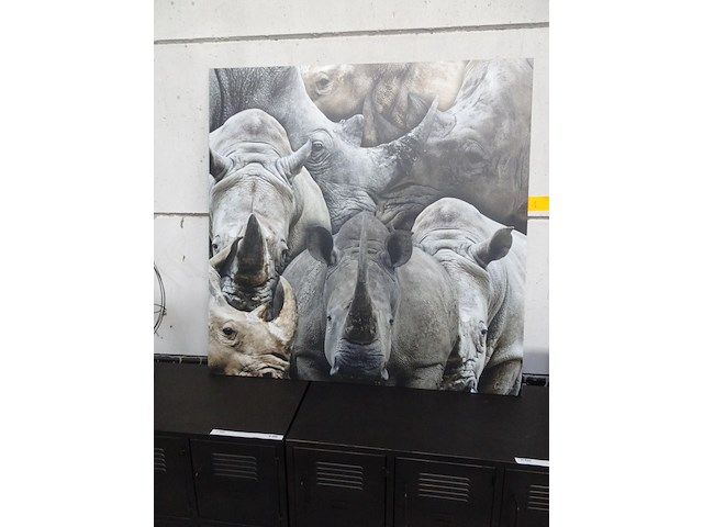 Fotopaneel neushoorn - afbeelding 1 van  2