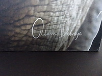 Fotopaneel neushoorn - afbeelding 2 van  2