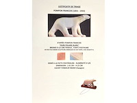 François pompon - ijsbeer - brons - afbeelding 8 van  8