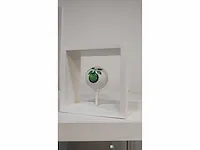 Frank van spuybroeck “golfbal”
