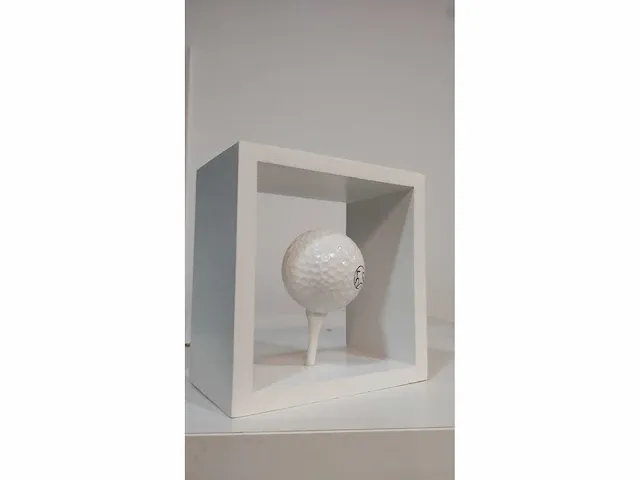 Frank van spuybroeck “golfbal” - afbeelding 2 van  4