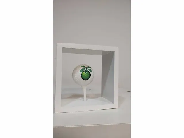 Frank van spuybroeck “golfbal” - afbeelding 4 van  4