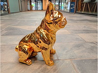 Franse bulldog goud - afbeelding 1 van  3