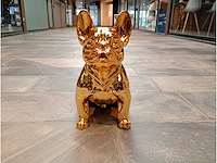 Franse bulldog goud - afbeelding 2 van  3