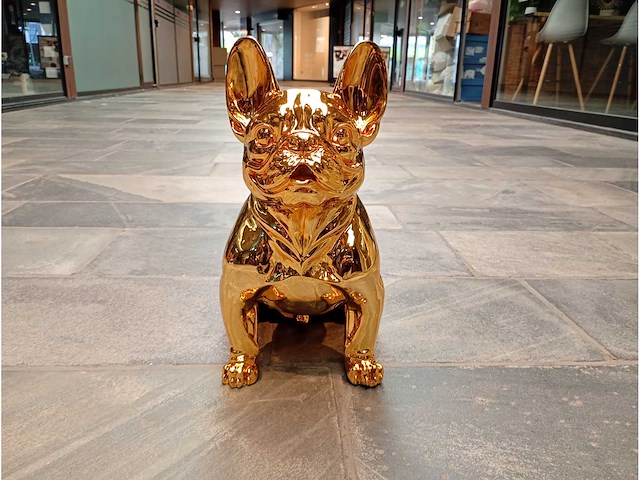 Franse bulldog goud - afbeelding 3 van  3