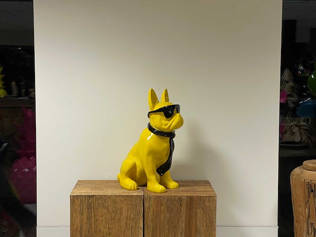 Franse bulldogs met bril h60cm geel - afbeelding 2 van  2