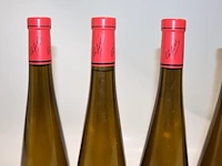 Frey-sohler gewürztraminer grand cru frankstein 2019 (x9) - afbeelding 5 van  7