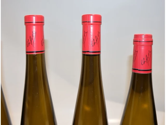 Frey-sohler gewürztraminer grand cru frankstein 2019 (x9) - afbeelding 6 van  7