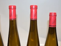 Frey-sohler gewürztraminer grand cru frankstein 2019 (x9) - afbeelding 6 van  7