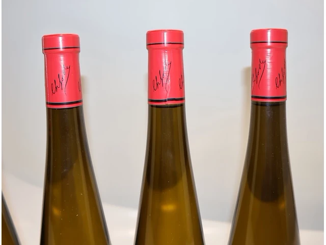 Frey-sohler gewürztraminer grand cru frankstein 2019 (x9) - afbeelding 7 van  7