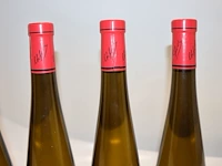 Frey-sohler gewürztraminer grand cru frankstein 2019 (x9) - afbeelding 7 van  7