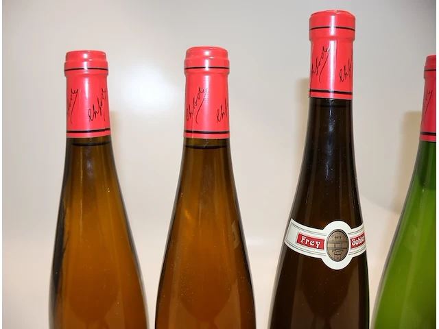 Frey-sohler (x9) - afbeelding 7 van  9