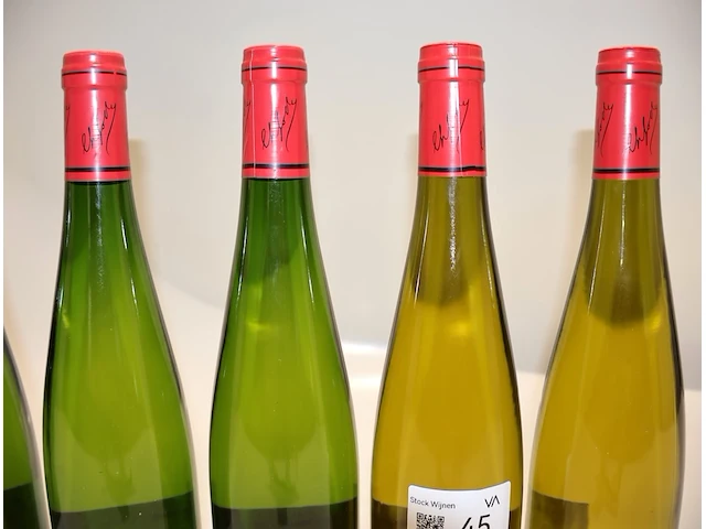 Frey-sohler (x9) - afbeelding 9 van  9