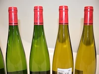 Frey-sohler (x9) - afbeelding 9 van  9