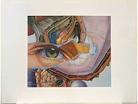 Fritz köthe - lot van 4 pop art offset prints - afbeelding 19 van  21