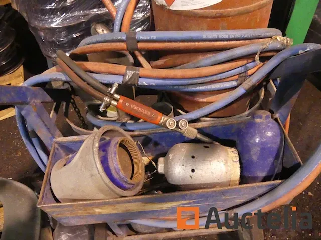 Gasbrander gloor - afbeelding 10 van  12