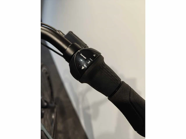 Gazelle - grenoble c7+ mt46 - electric bicycle - afbeelding 10 van  10