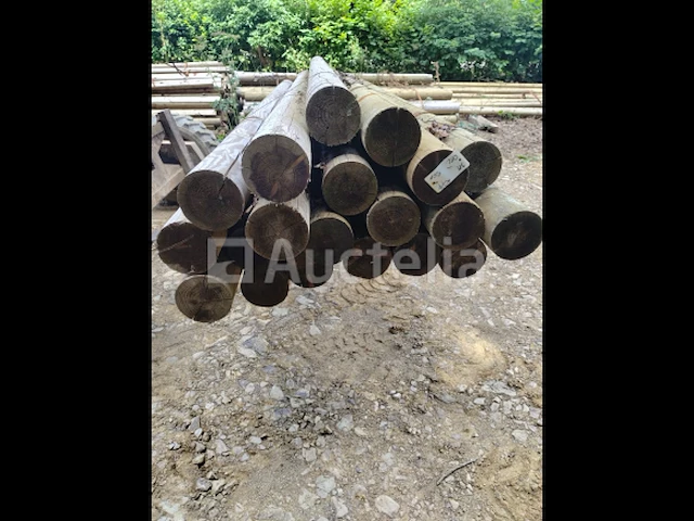 Geautoclaveerde sparrenstammen diameter 14 - afbeelding 1 van  4