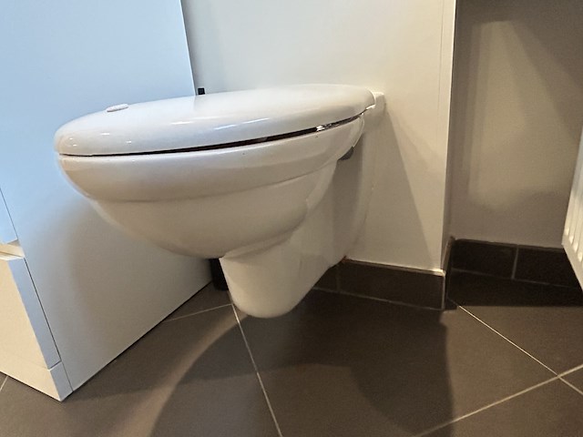 Geberit hangtoilet inclusief inbouwsysteem - afbeelding 1 van  3