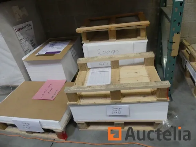 Gecoate papiermachine half mat 46x64 - afbeelding 3 van  10