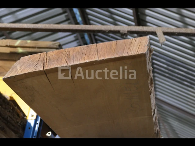 Gehard beukenhout - afbeelding 4 van  4