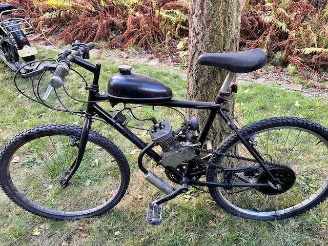 Gemotoriseerde mountainbike - afbeelding 1 van  10