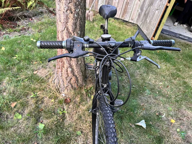 Gemotoriseerde mountainbike - afbeelding 5 van  10