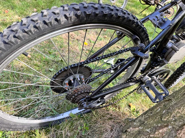 Gemotoriseerde mountainbike - afbeelding 6 van  10