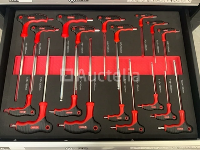 Gereedschapswagen sg-tools 257-delig - afbeelding 6 van  13