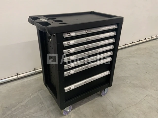 Gereedschapswagen sg-tools 257-delig - afbeelding 7 van  13