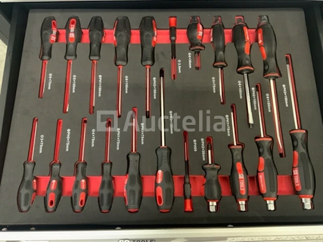Gereedschapswagen sg-tools 257-delig - afbeelding 10 van  13