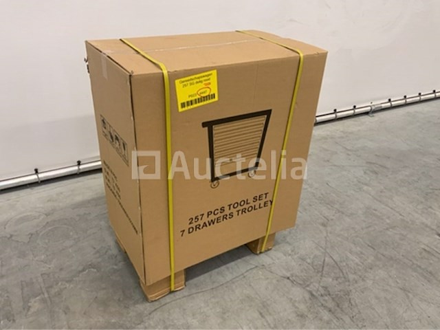 Gereedschapswagen sg-tools 257-delig - afbeelding 4 van  13