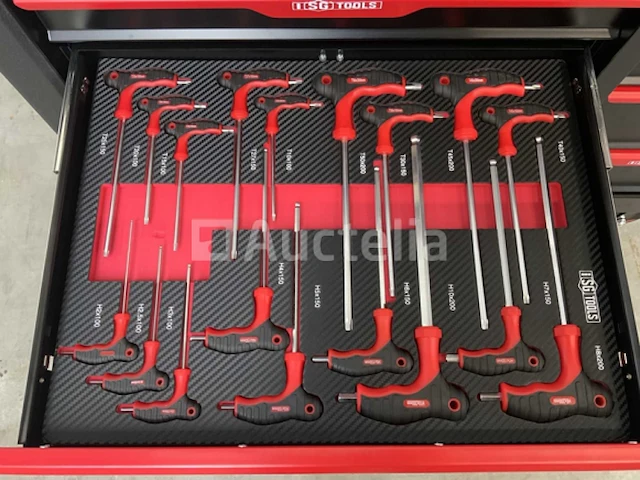 Gereedschapswagen sg tools 311 delig - afbeelding 10 van  24