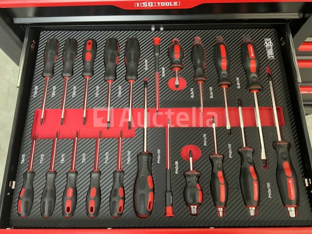 Gereedschapswagen sg tools 311 delig - afbeelding 24 van  24