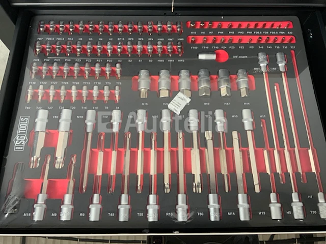 Gereedschapswagen stahlgruppe 258 delig - afbeelding 12 van  14