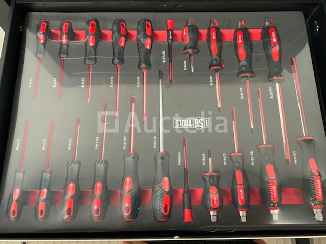 Gereedschapswagen stahlgruppe 258 delig - afbeelding 11 van  14